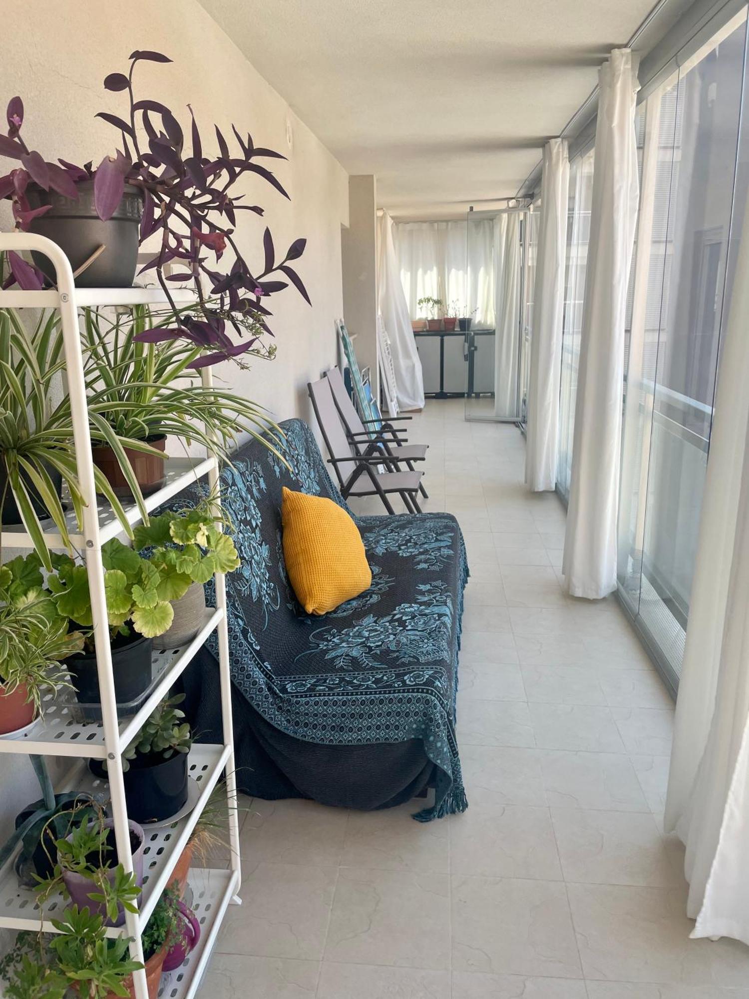 Marina Dor Primera Linea Apartment Oropesa del Mar Exterior foto